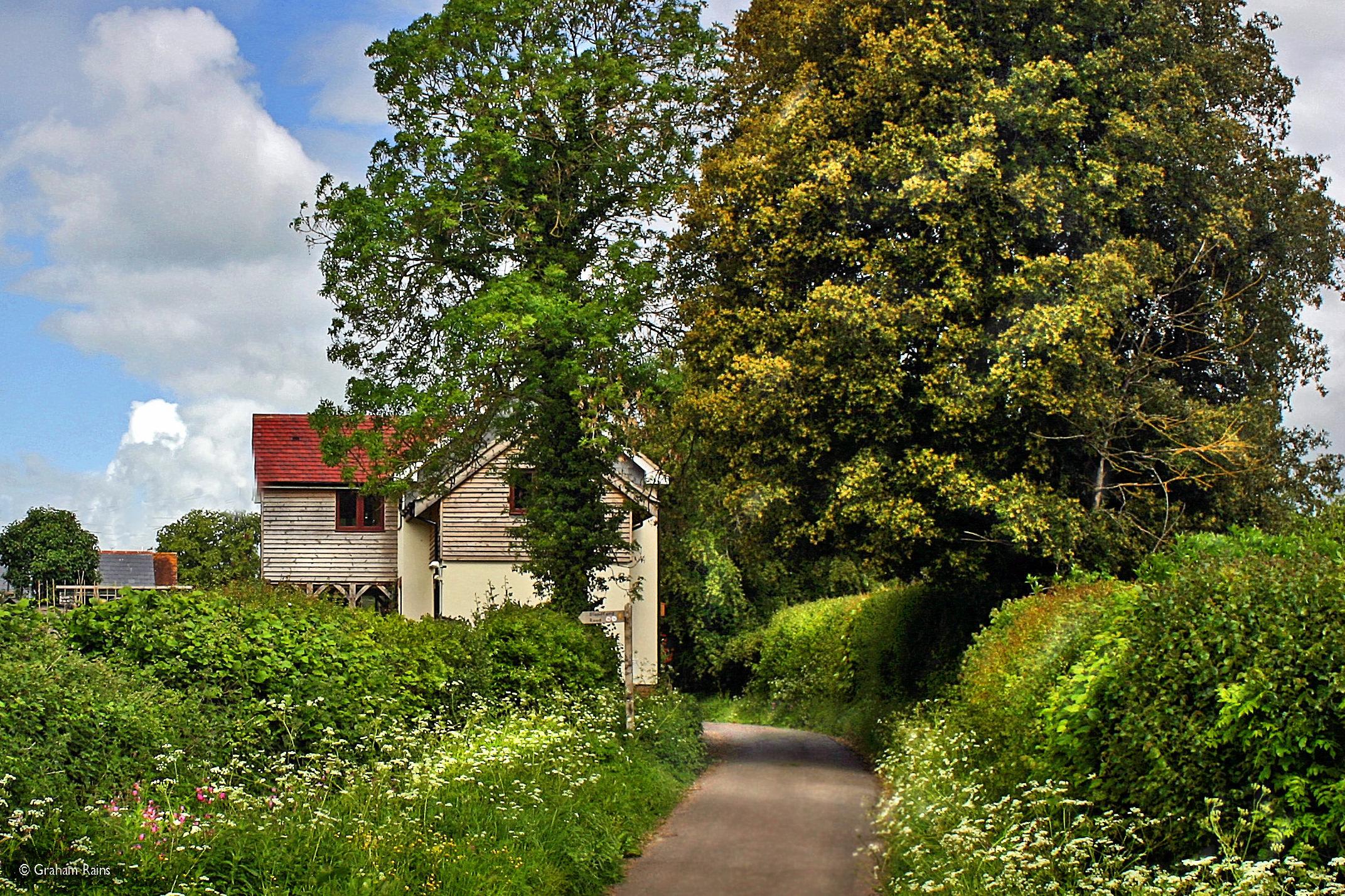 Hine Town Lane